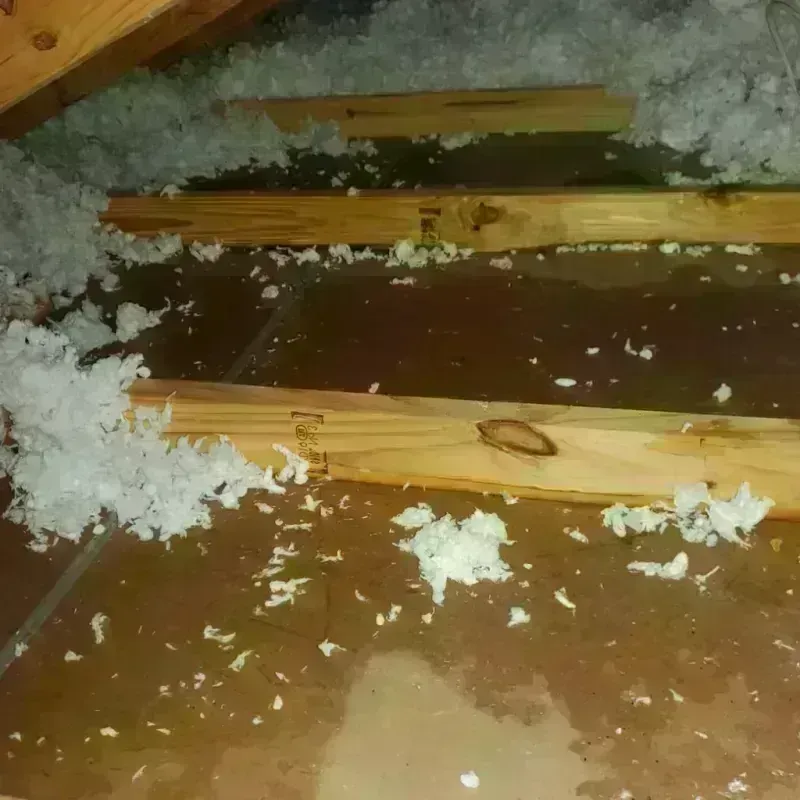 Attic Water Damage in Bertsch-Oceanview, CA